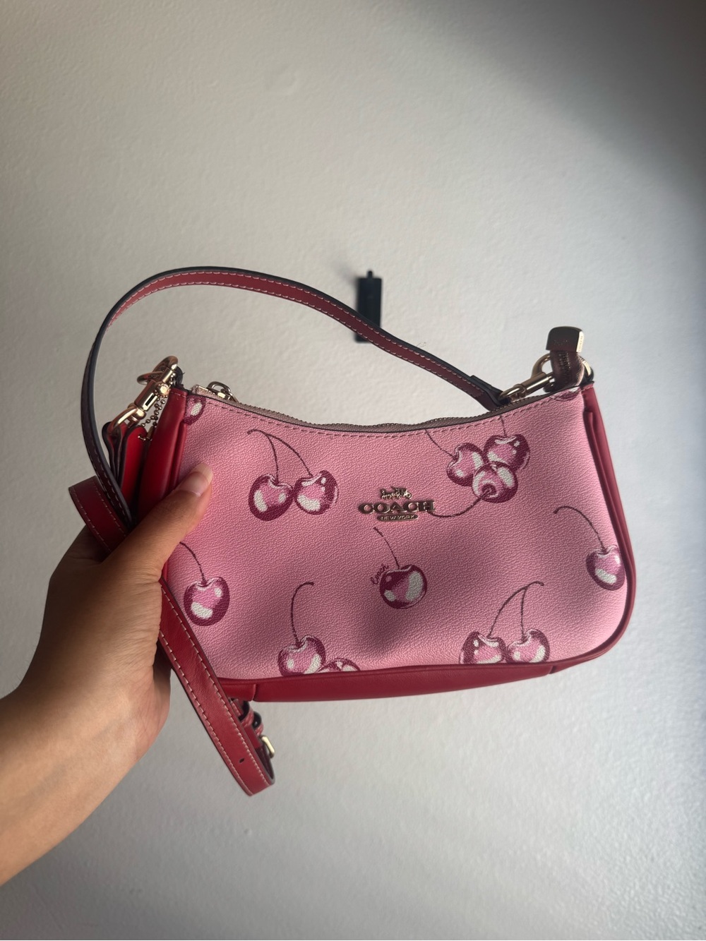 Cherry Print Coach Bag - Picture 1 of 7